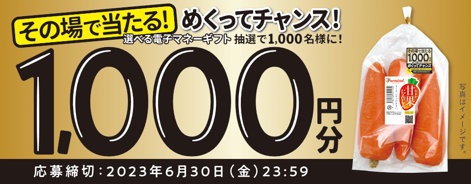 その場で当たる！めくってチャンス！選べる電子マネーギフト抽選で1,000名様に！1,000円分 ※写真はイメージです。 / 応募締切：2023年6月30日（金）23:59