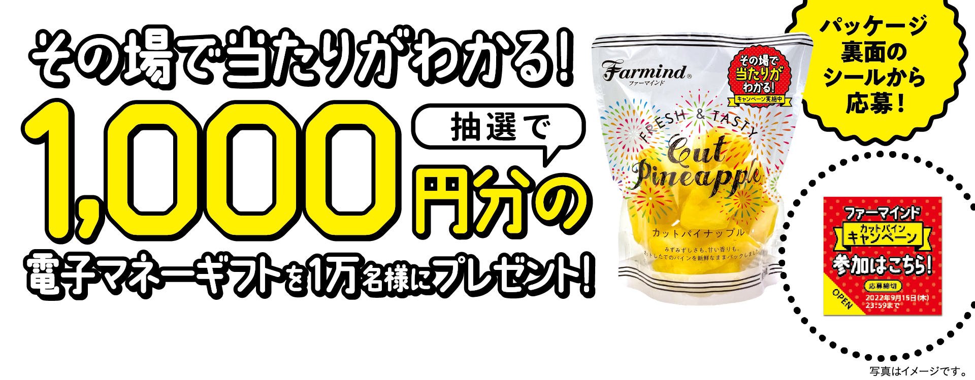 その場で当たりがわかる！抽選で1,000円分の電子マネーギフトを1万名様にプレゼント！