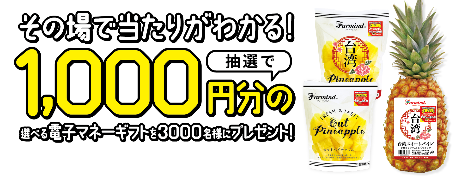 その場で当たりがわかる！抽選で1,000円分の選べる電子マネーギフトを3000名様にプレゼント！