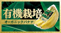 農薬と化学肥料を使わず、安心・おいしさを追求！ 有機栽培オーガニックバナナ