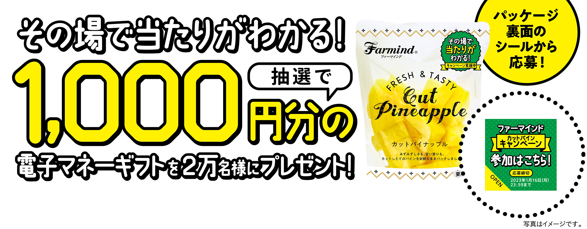 その場で当たりがわかる！抽選で1,000円分の電子マネーギフトを2万名様にプレゼント！