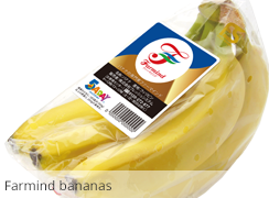 Farmind bananas