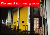 Placement in ripening room