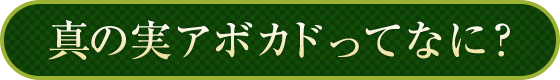 真の実アボカドってなに？