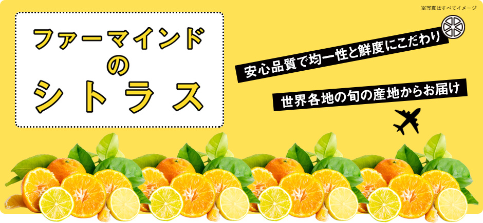 ファーマインドのシトラス 「安心品質で均一性と鮮度にこだわり 世界各地の旬の産地からお届け」 ※写真はすべてイメージ