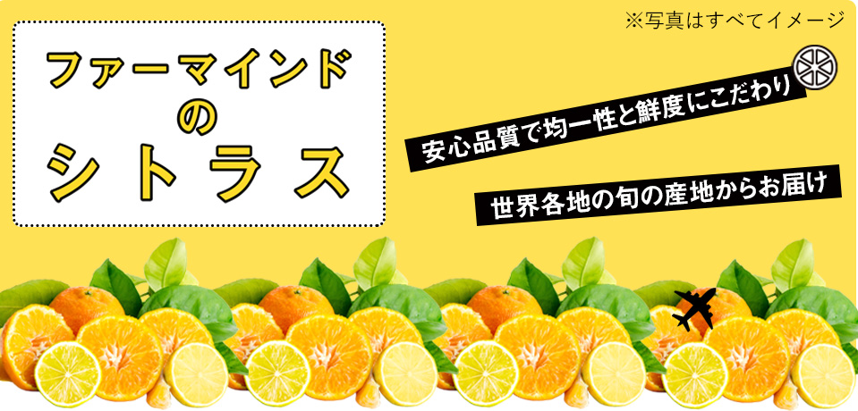 ファーマインドのシトラス 「安心品質で均一性と鮮度にこだわり 世界各地の旬の産地からお届け」 ※写真はすべてイメージ