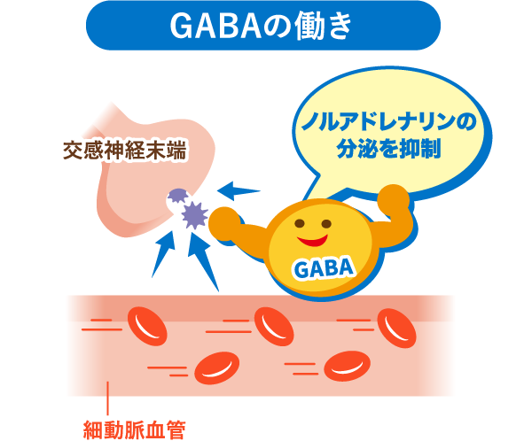 GABAの働き