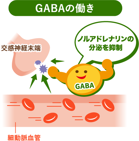 GABAの働き