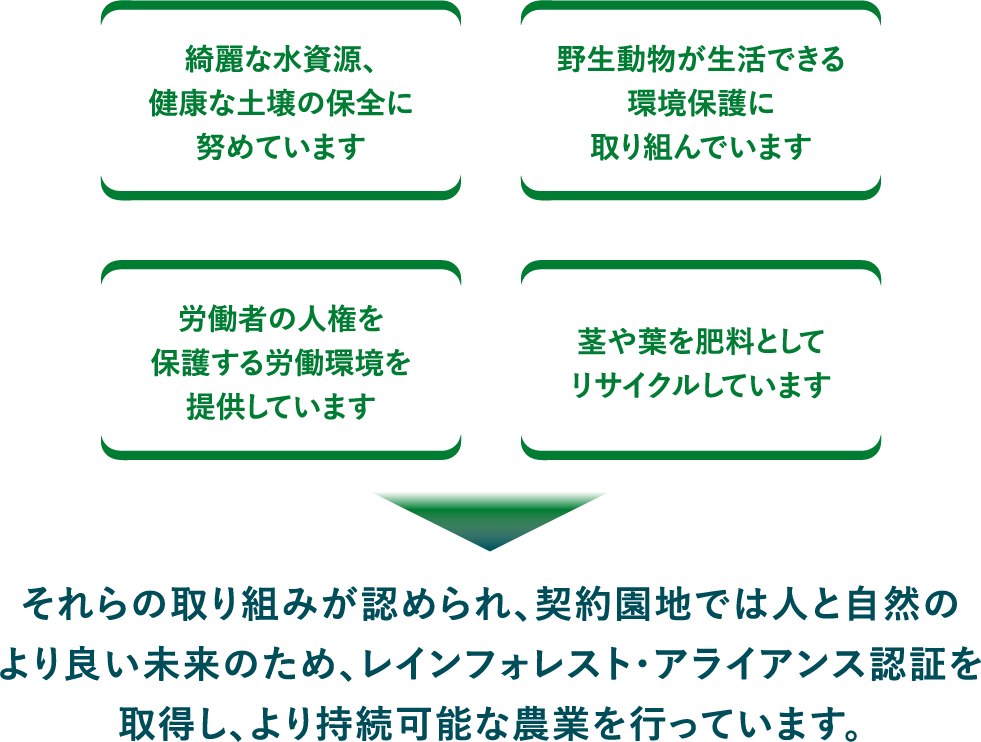 取り組みが認められ、契約園地では人と自然のより良い未来のため、レインフォレスト・アライアンス認証を取得し、より持続可能な農業を行っています。