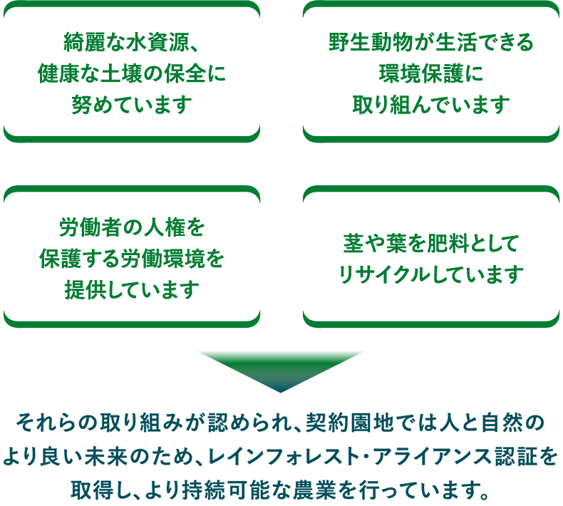 取り組みが認められ、契約園地では人と自然のより良い未来のため、レインフォレスト・アライアンス認証を取得し、より持続可能な農業を行っています。