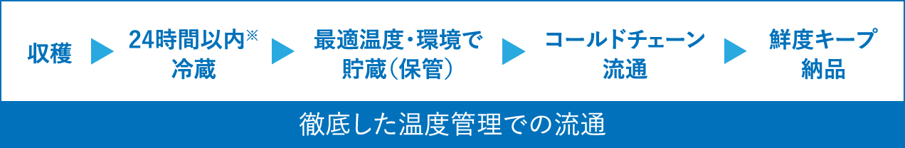 徹底した温度管理での流通・フロー説明図