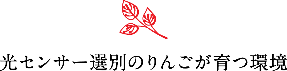 光センサー選別のりんごが育つ環境