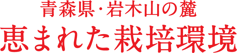 青森県・岩木山の麓 恵まれた栽培環境