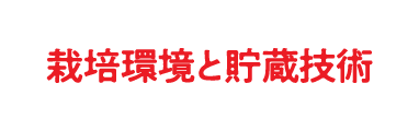 栽培環境と貯蔵技術