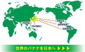 世界のバナナを日本へ