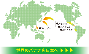 世界のバナナを日本へ