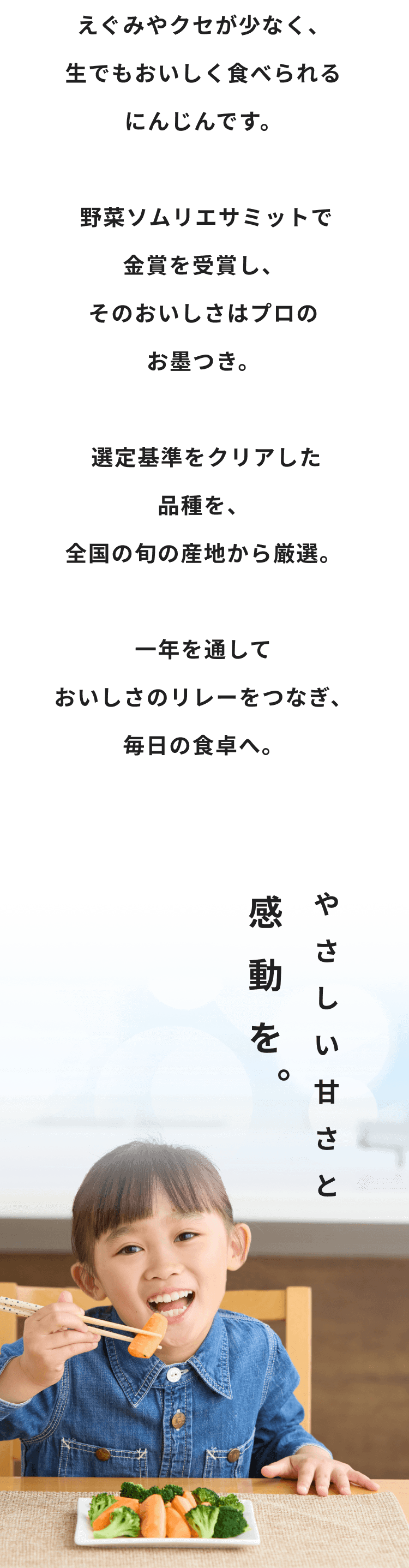 イントロダクション2