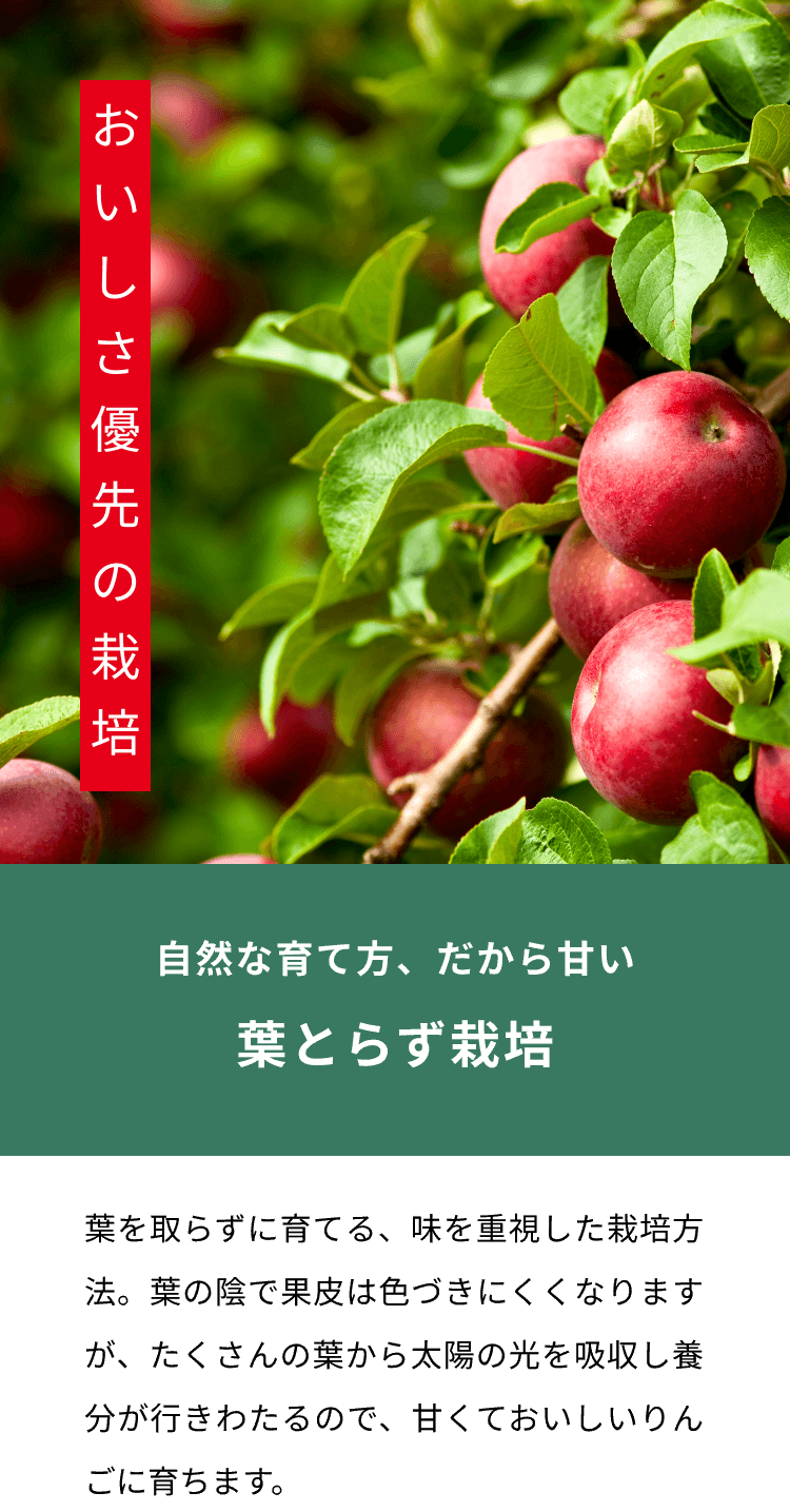 おいしさ優先の栽培