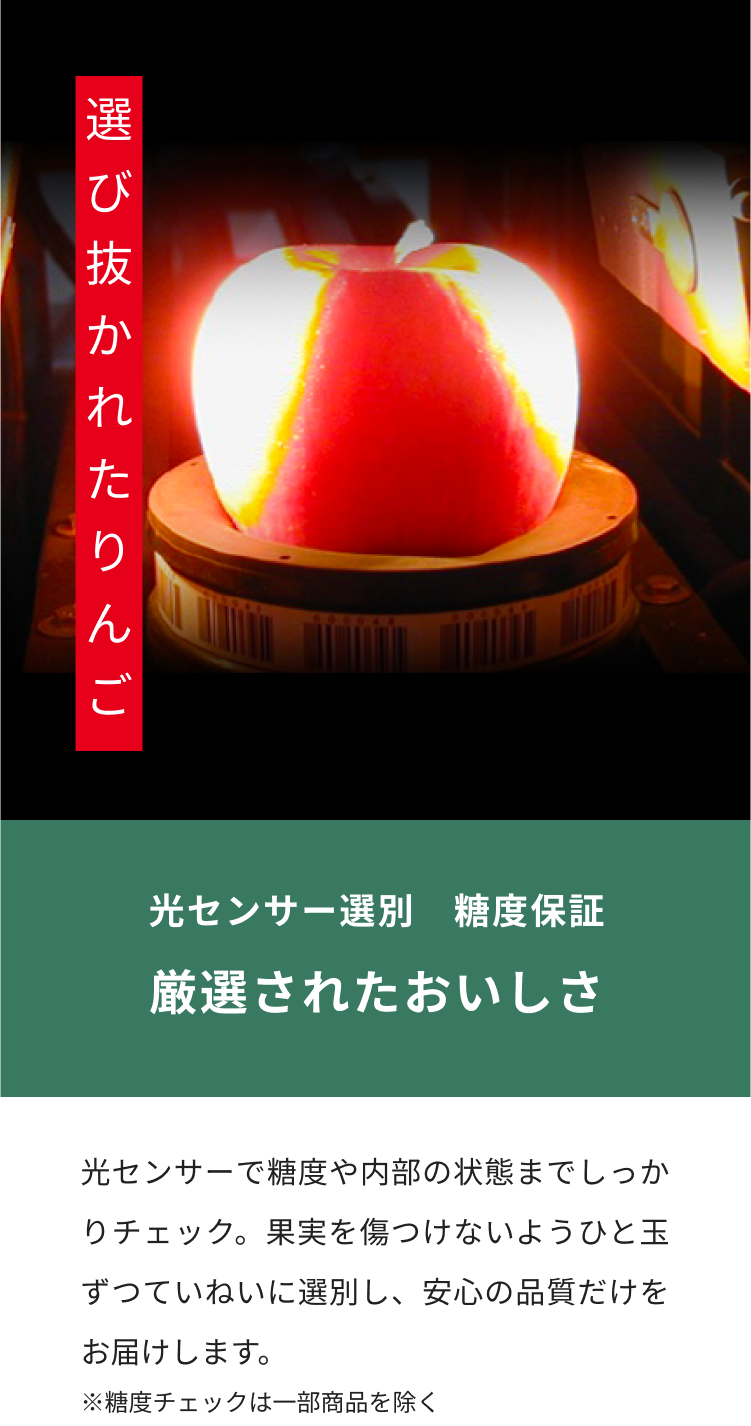 選び抜かれたりんご