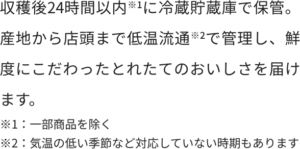 収穫後24時間以内※1に冷蔵貯蔵庫で保管。産地から店頭まで低温流通※2で管理し、鮮度にこだわったとれたてのおいしさを届けます。※1：一部商品を除く※2：気温の低い季節など対応していない時期もあります