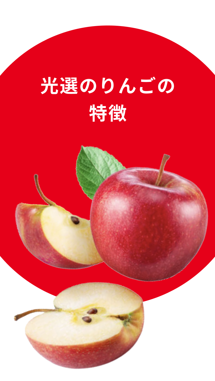 光選のりんごの特徴