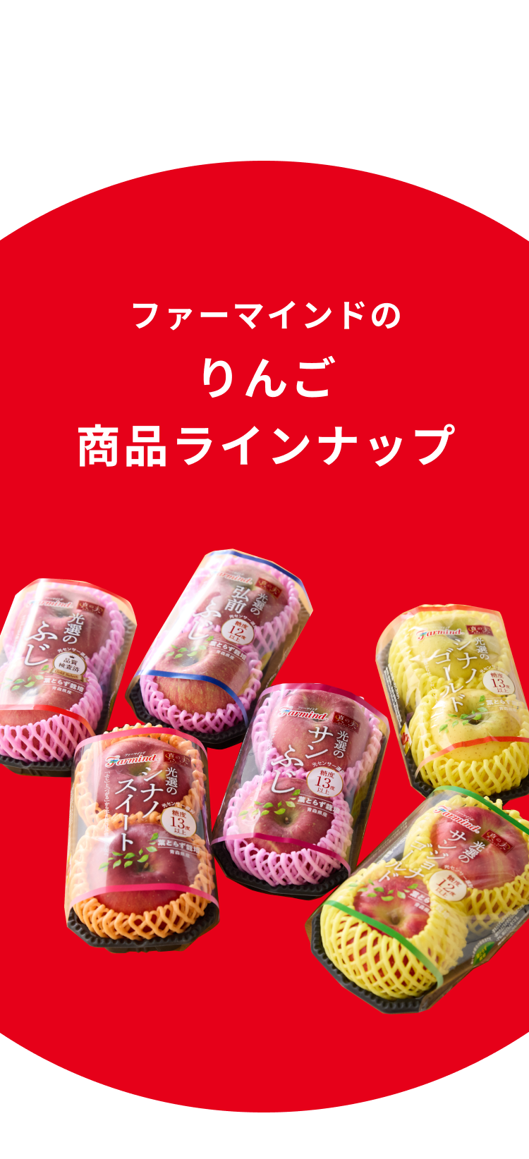 ラインナップ