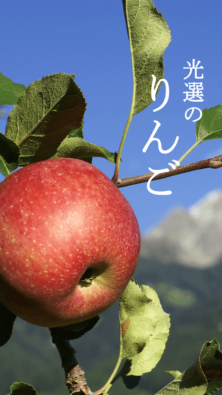 読み込み中