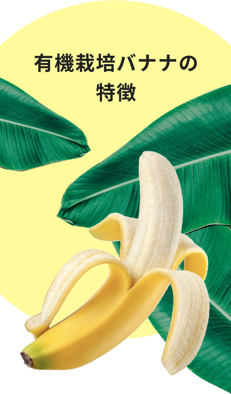 有機栽培バナナの特徴