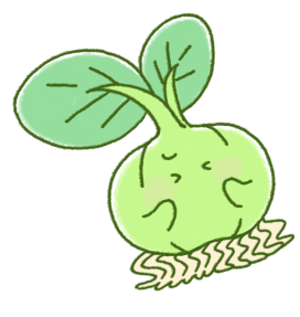 にょきぬん