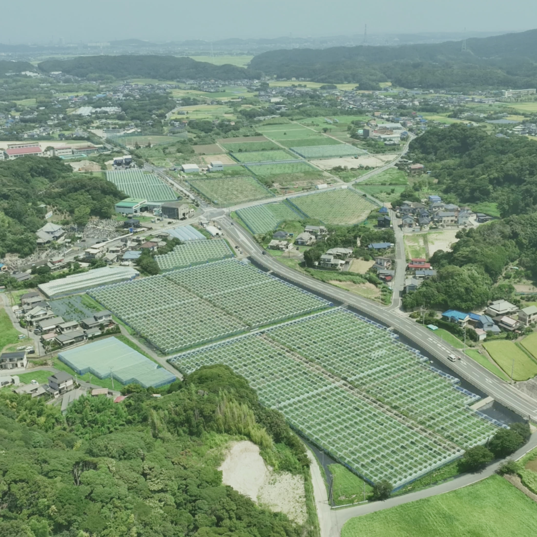 千葉ぶどう農園の空撮写真