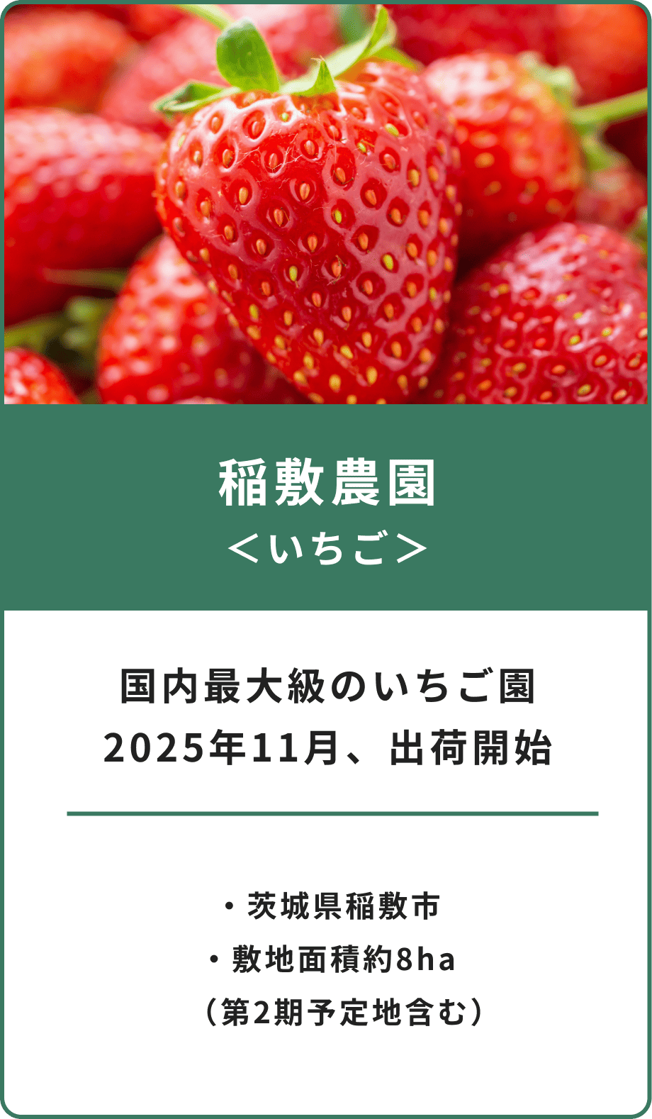 稲敷農園