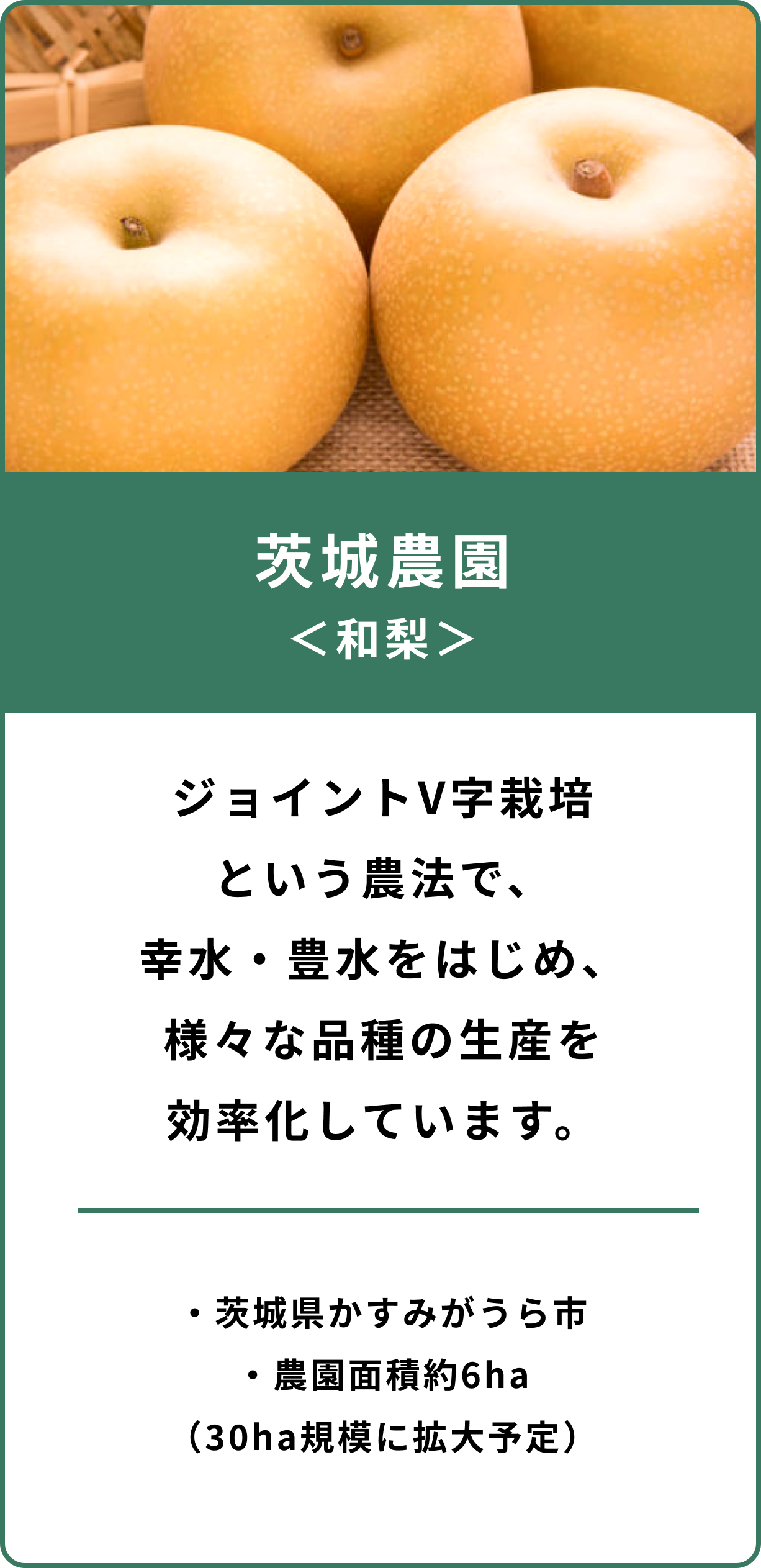 茨城農園