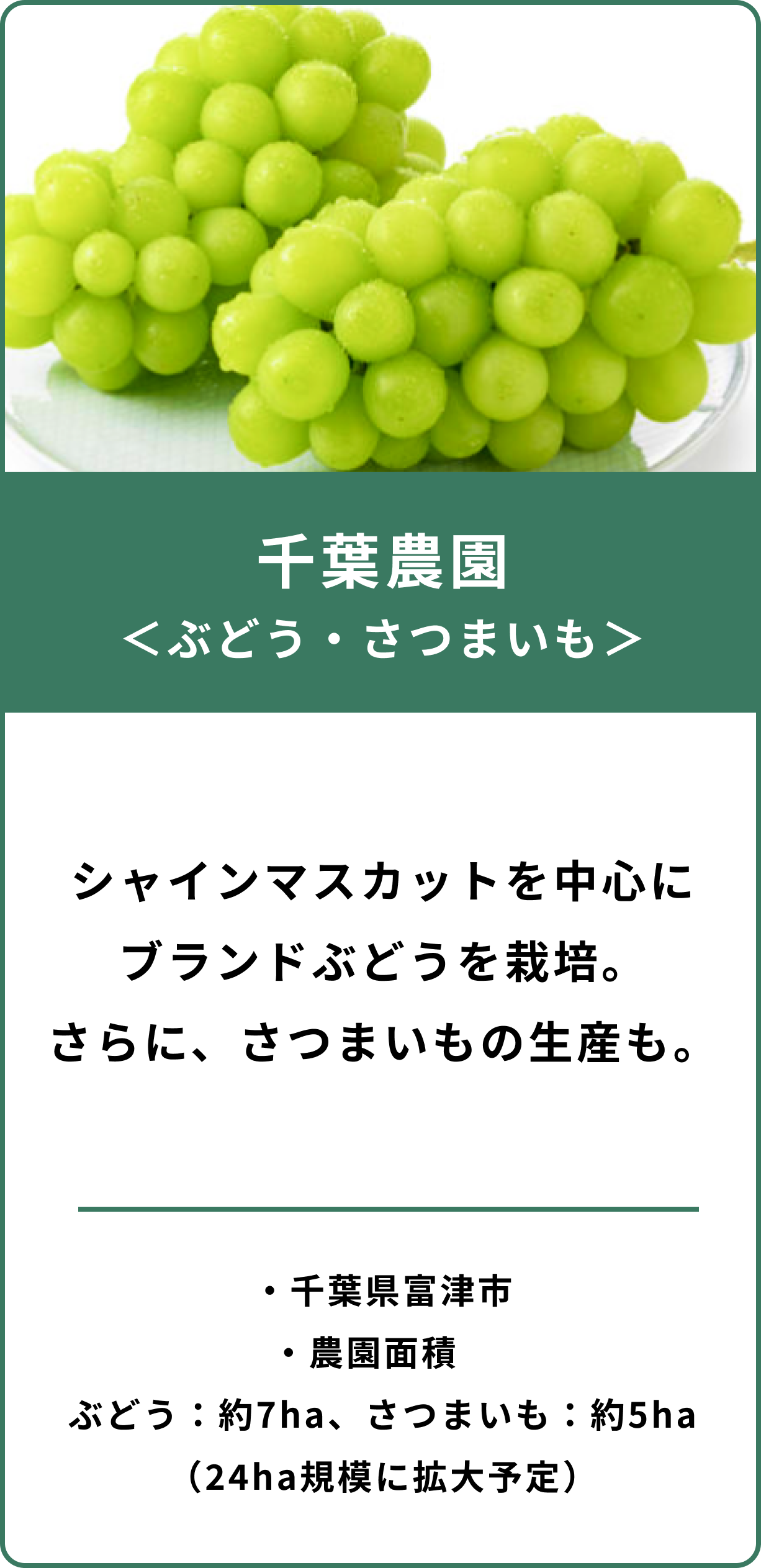 千葉農園