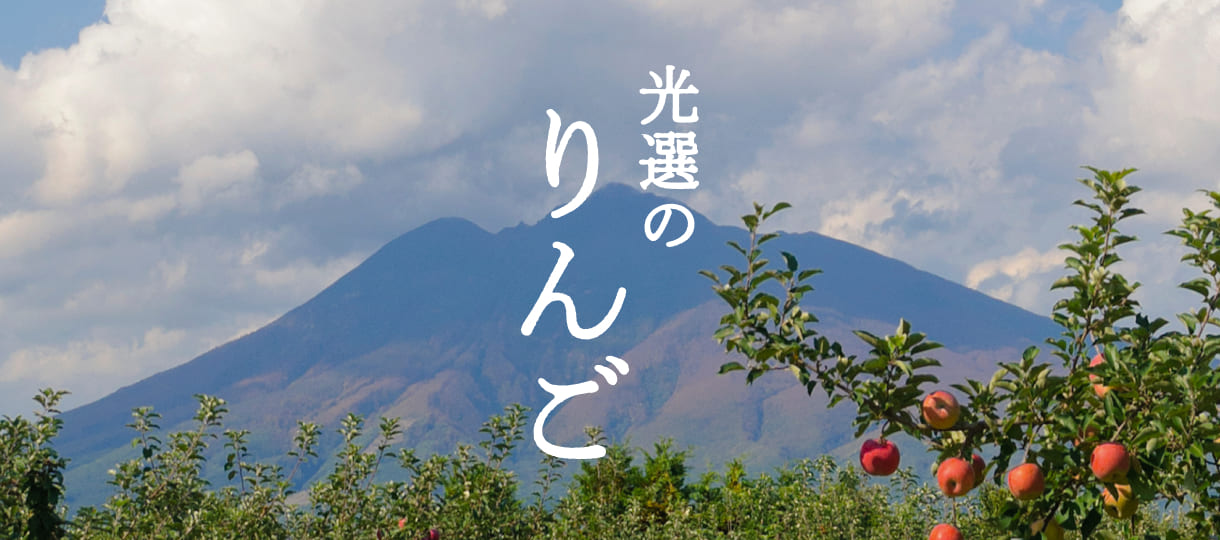 光選のりんご