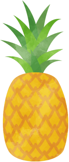 フルーツ